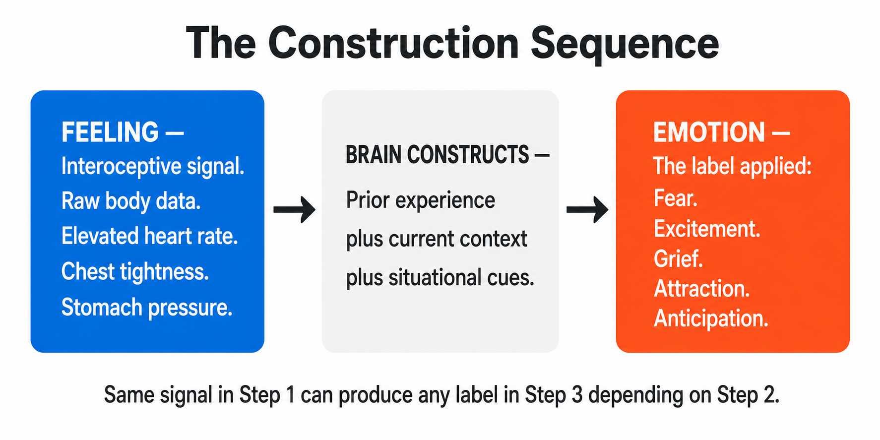 Three-step diagram showing how the brain constructs an emotion from an interoceptive feeling signal