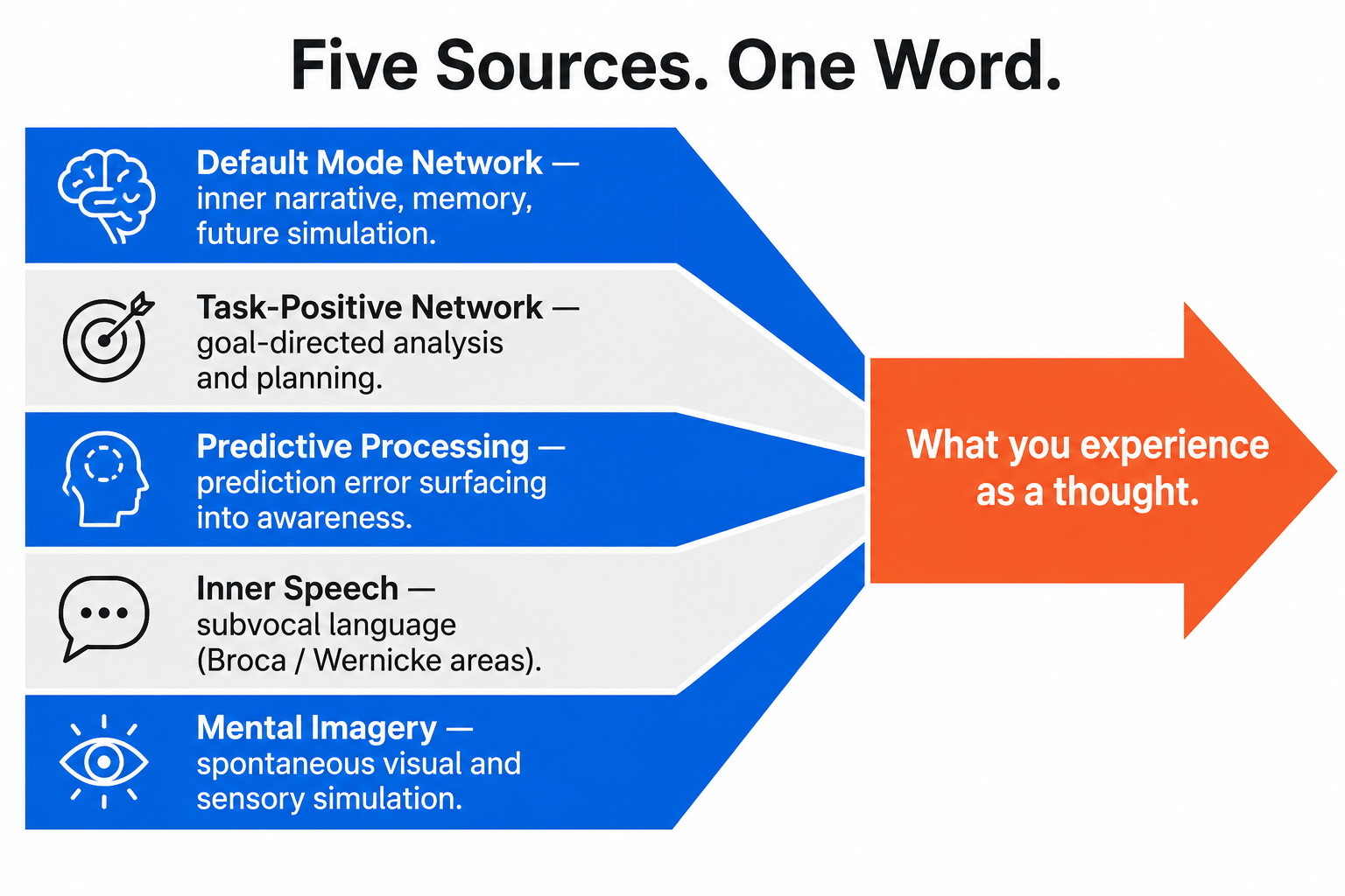 Five neural sources of thought including DMN, TPN, and predictive processing diagram