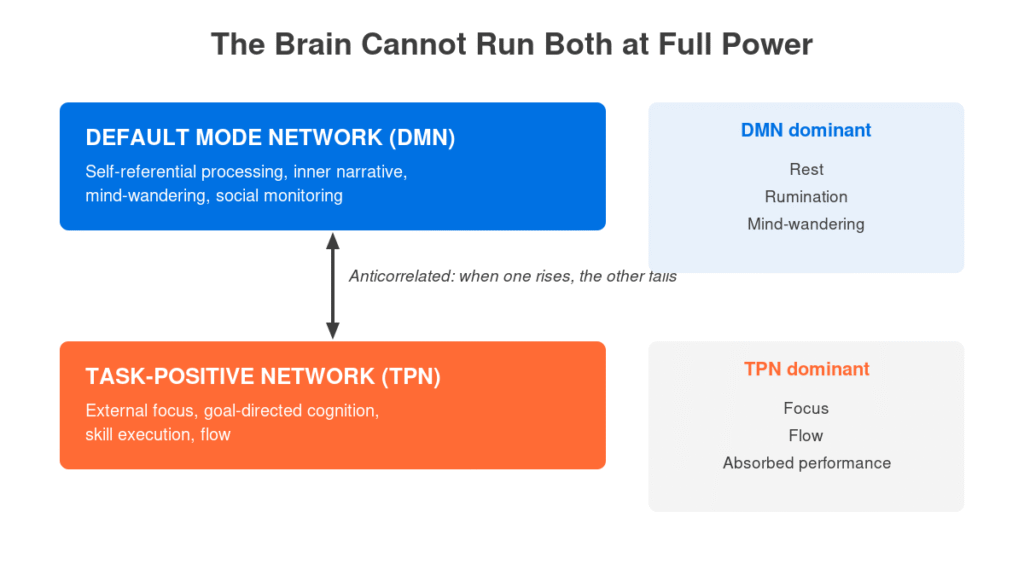 Diagram showing anticorrelated relationship between default mode network and task-positive network