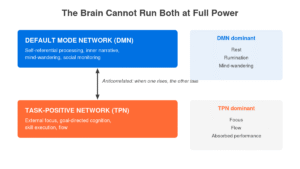 Diagram showing anticorrelated relationship between default mode network and task-positive network