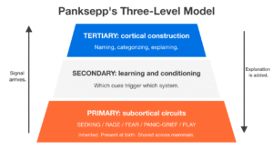 Three-level model showing subcortical emotion circuits, learning, and cortical labelling